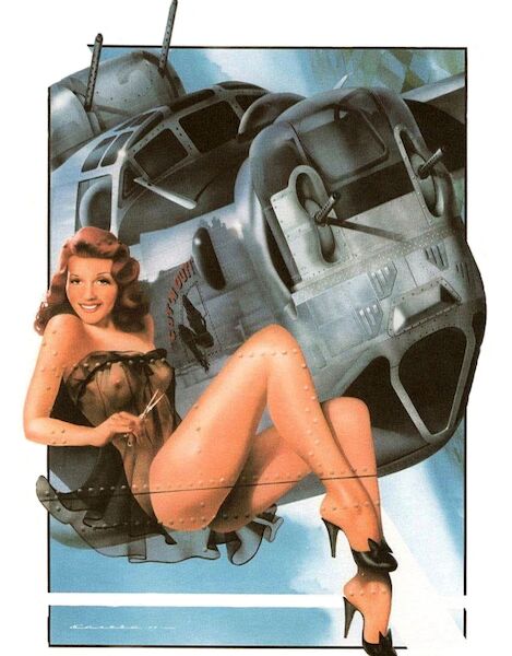 Cut'n Out - Rita Hayworth pinup with B-24 Liberator  Vintage metal poster metal sign  B-24 PINUP