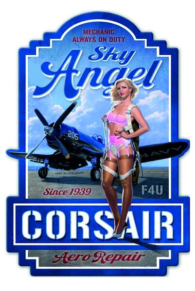 Sky Angel's Corsair Vintage metal poster metal sign  V4-ANGEL