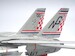 Grumman F14A Tomcat US Navy VF-211 Fighting Checkmates  CA721417