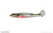 Focke Wulf FW190D-9 (REISSUE)  84102