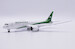 Boeing 787-8 Dreamliner Iraqi Airways YI-ATC "Flaps Down" 